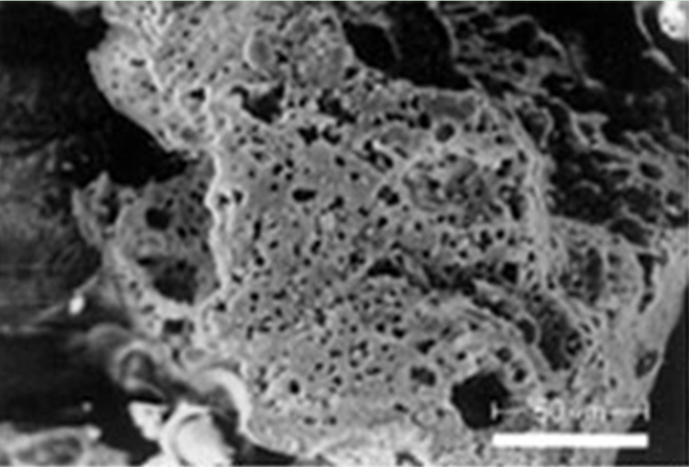 クリンカアッシュ電子顕微鏡写真